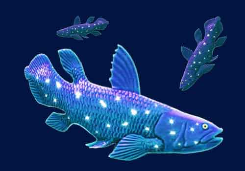 Fish Out Of Time